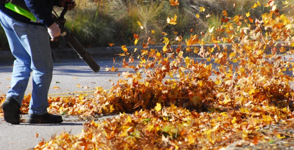 Lombgyűjtés közterületeken